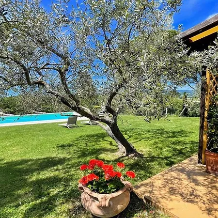 Sole Vino, Fabulous Pool, Fantastic Area, Sleeps Up To 15persons Belvedere (Perugia)