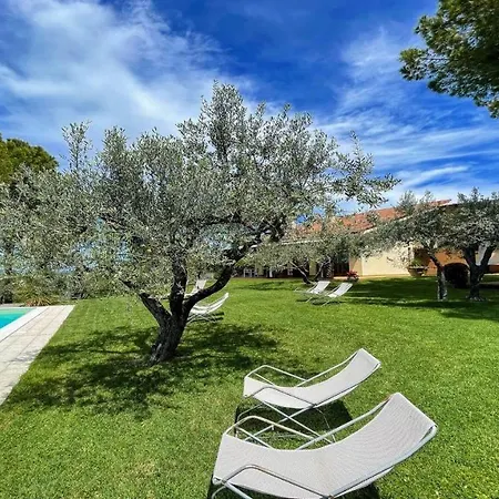 Sole Vino, Fabulous Pool, Fantastic Area, Sleeps Up To 15persons Belvedere (Perugia)