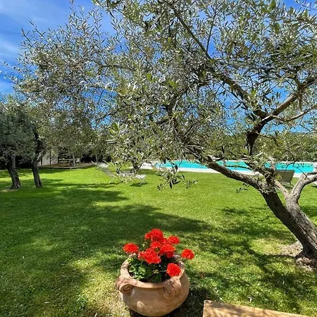 Sole Vino, Fabulous Pool, Fantastic Area, Sleeps Up To 15persons Belvedere (Perugia)